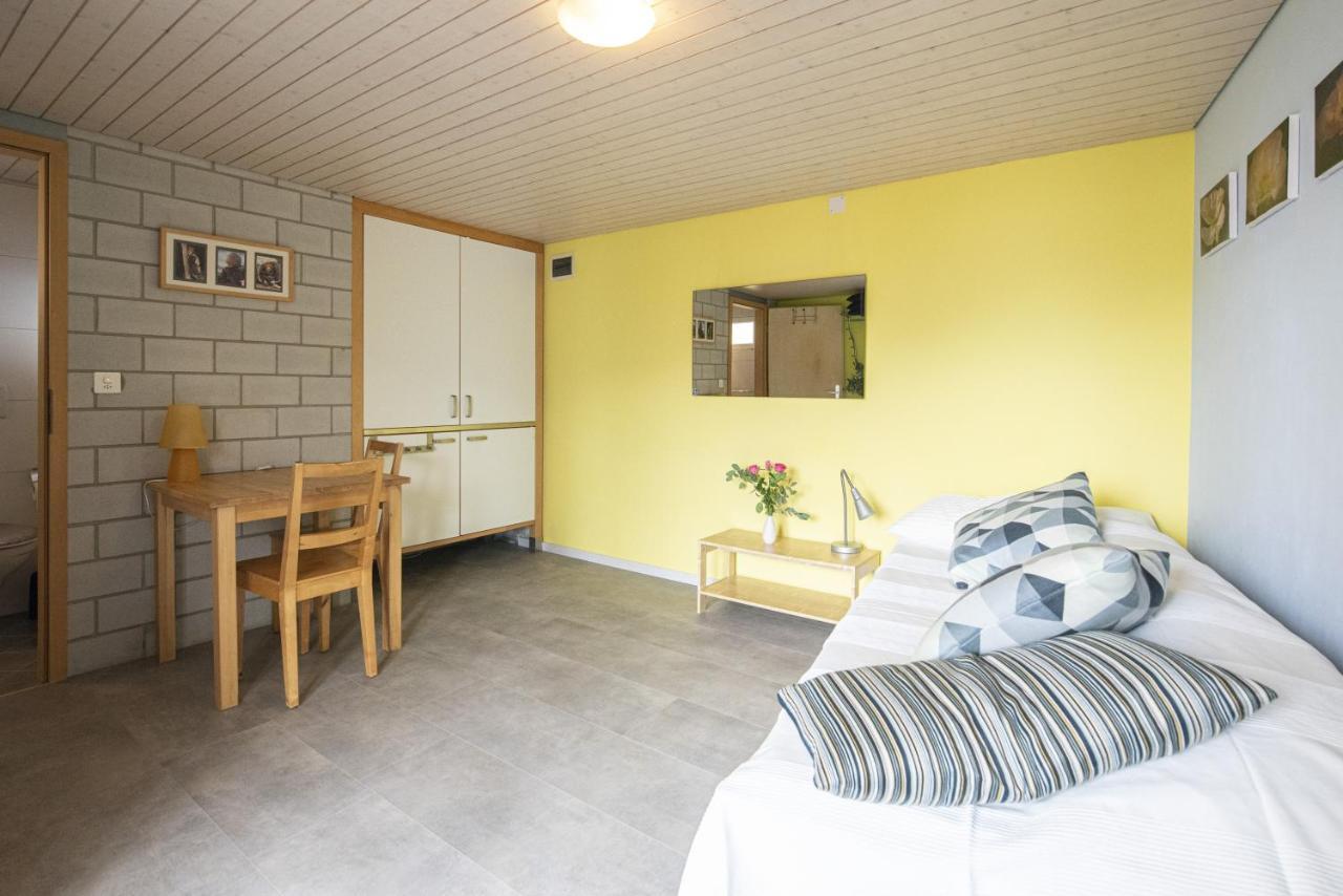 Apartament Casa Eva Ronco sopra Ascona Zewnętrze zdjęcie